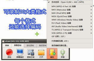 錄屏小將OCam 全能錄屏截圖錄音，專業(yè)攝影服務(wù)一應(yīng)俱全